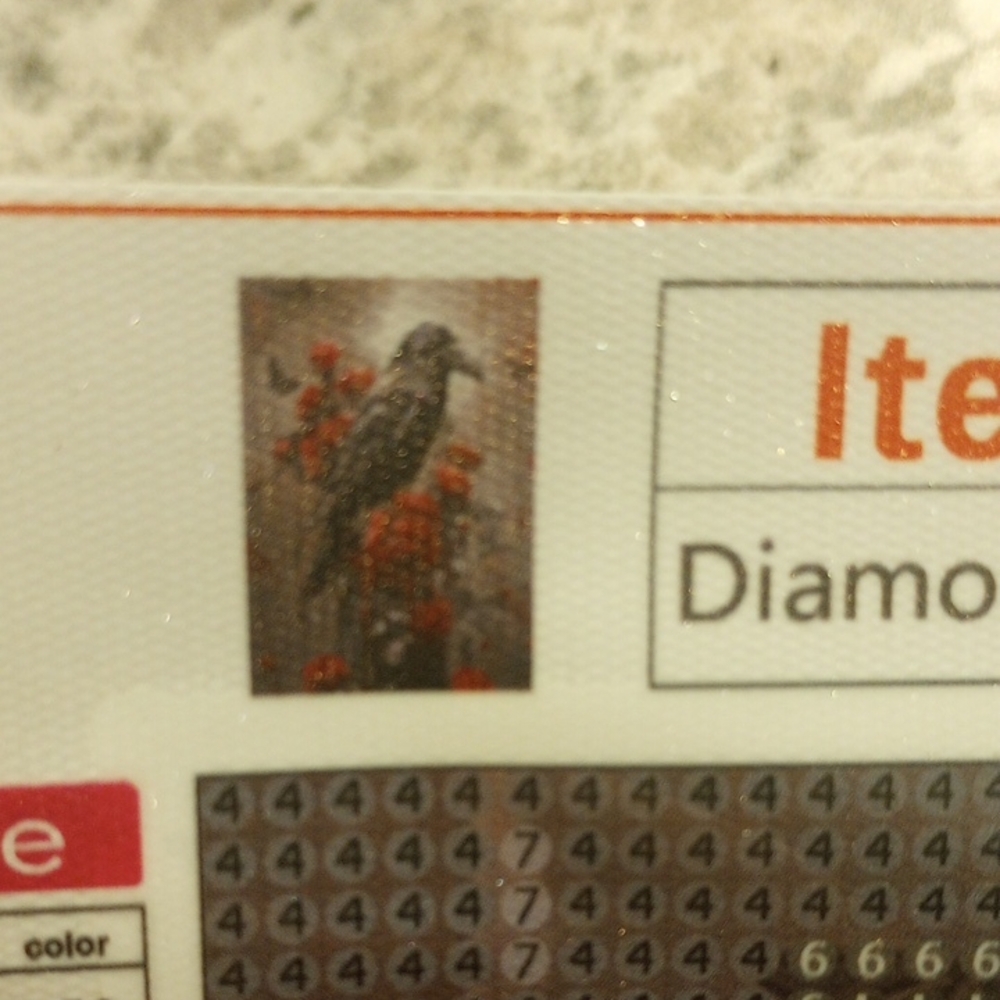 Vibrant Bird Diamond Painting Kit - Red and Black